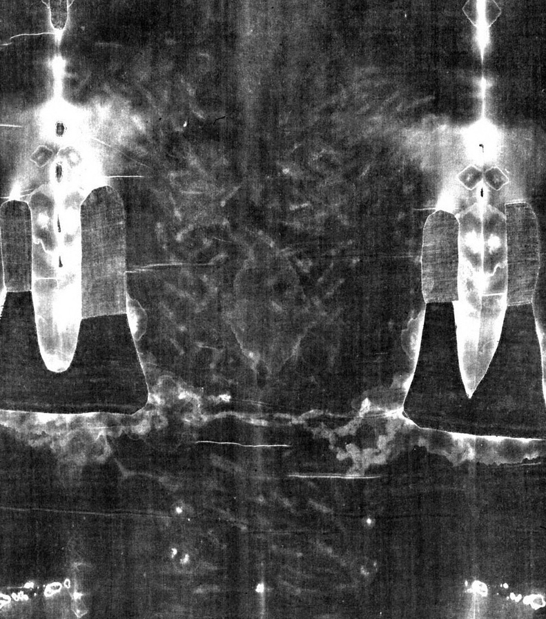 Plátno, torso